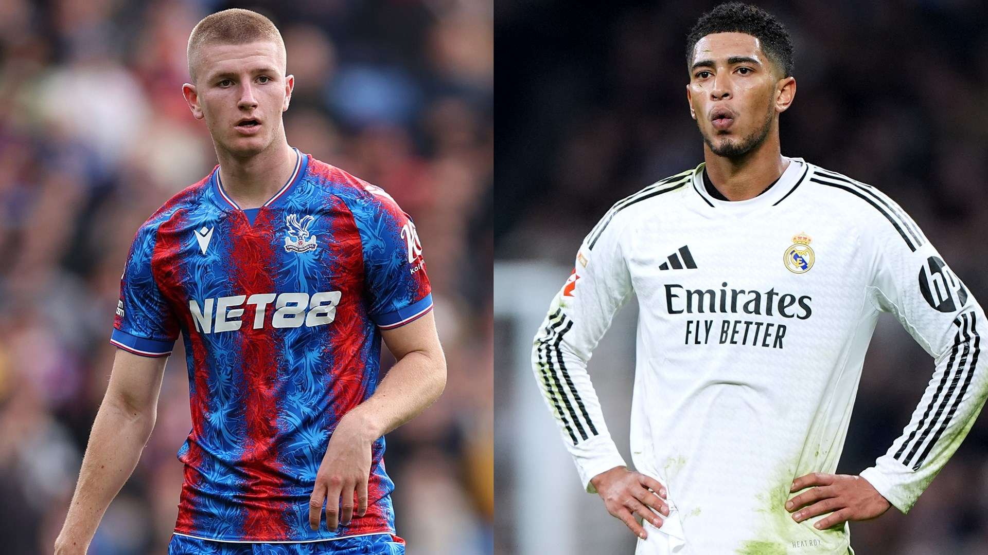 了极强的耐 了极强的耐