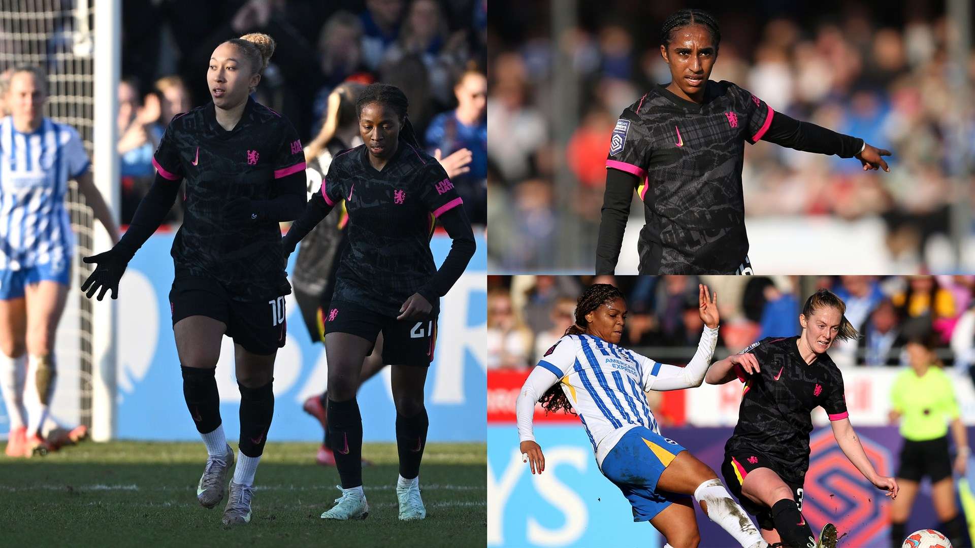 是众所瞩目 是众所瞩目